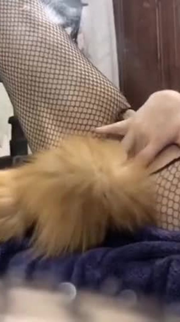 Poka_v_popke_hvostik_torchit_ja_glazhu_svoju_kisku-vps402